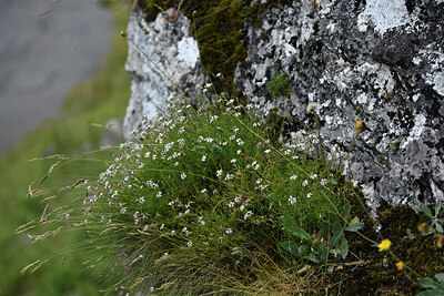 BUITEN BEELD Foto: 425520