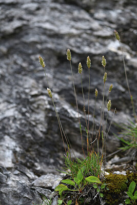 BUITEN BEELD Foto: 425547