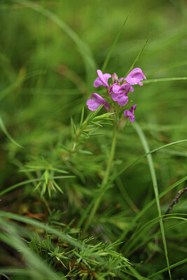 BUITEN BEELD Foto: 425583