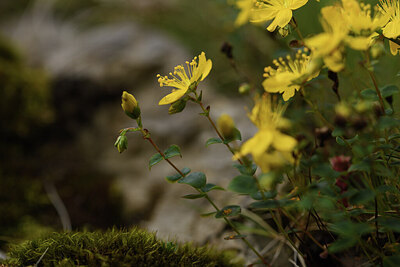 BUITEN BEELD Foto: 425600