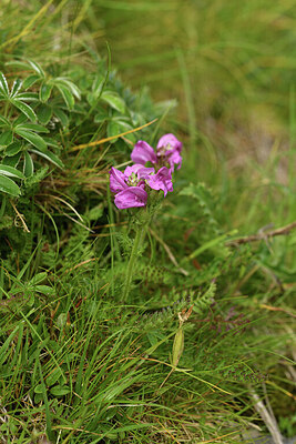 BUITEN BEELD Foto: 425626