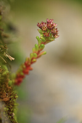 BUITEN BEELD Foto: 425627