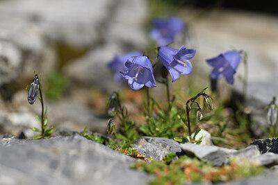 BUITEN BEELD Foto: 425663