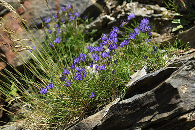 BUITEN BEELD Foto: 425708