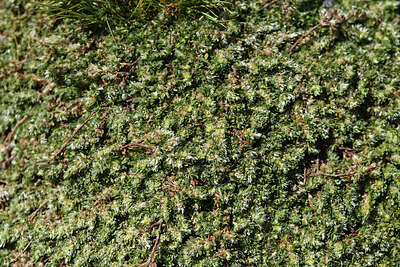 BUITEN BEELD Foto: 425744