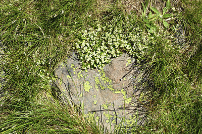 BUITEN BEELD Foto: 425747