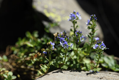BUITEN BEELD Foto: 425751