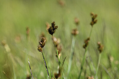 BUITEN BEELD Foto: 425753