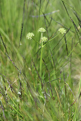 BUITEN BEELD Foto: 425754