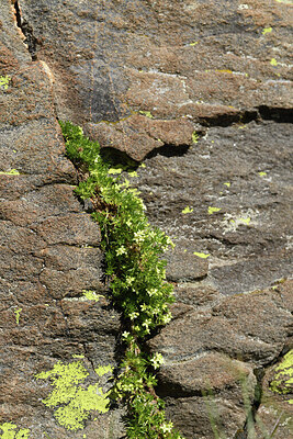 BUITEN BEELD Foto: 425757
