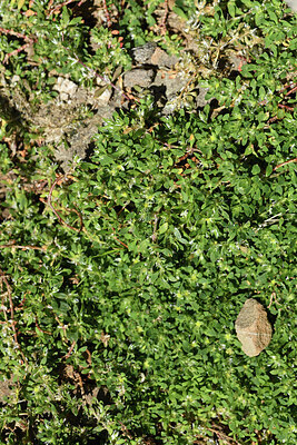 BUITEN BEELD Foto: 425760