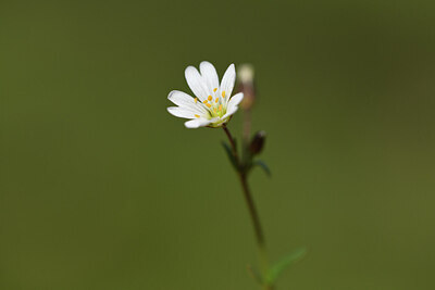 BUITEN BEELD Foto: 425770