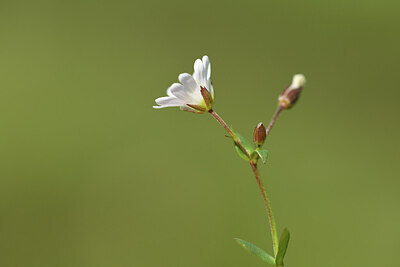 BUITEN BEELD Foto: 425771