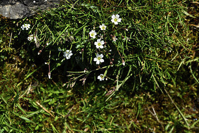 BUITEN BEELD Foto: 425772