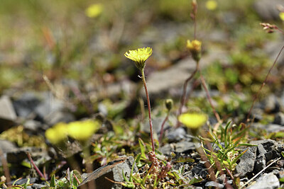 BUITEN BEELD Foto: 425780