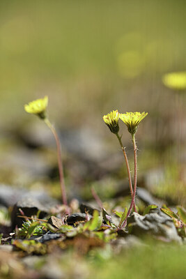 BUITEN BEELD Foto: 425783