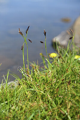 BUITEN BEELD Foto: 425784