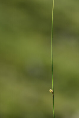 BUITEN BEELD Foto: 425794