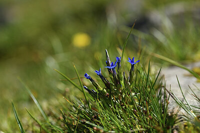 BUITEN BEELD Foto: 425797