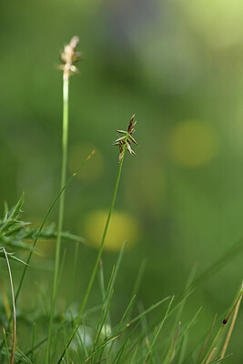 BUITEN BEELD Foto: 425799