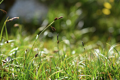 BUITEN BEELD Foto: 425802