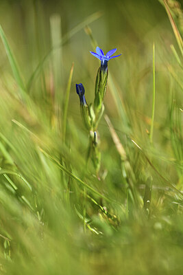 BUITEN BEELD Foto: 425803