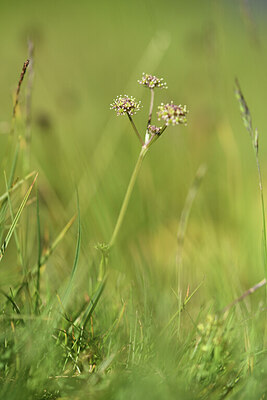 BUITEN BEELD Foto: 425804