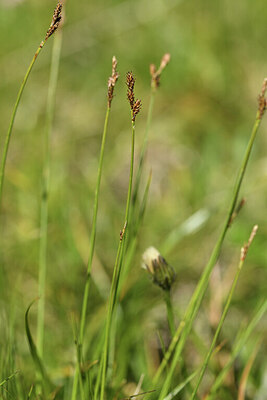 BUITEN BEELD Foto: 425819