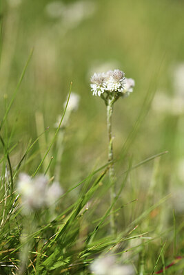 BUITEN BEELD Foto: 425821