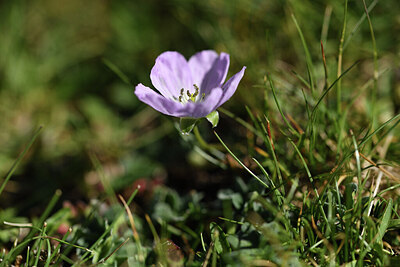 BUITEN BEELD Foto: 425824