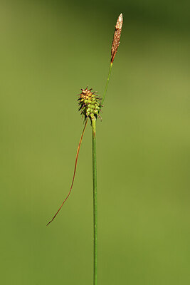 BUITEN BEELD Foto: 425853