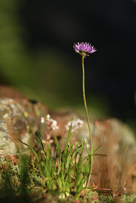 BUITEN BEELD Foto: 425890