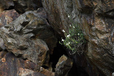 BUITEN BEELD Foto: 425932