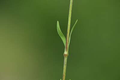 BUITEN BEELD Foto: 425940