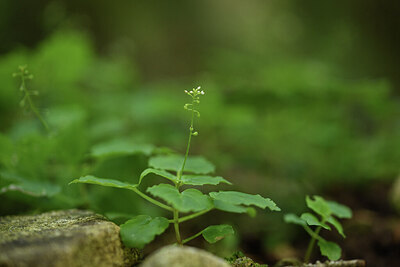 BUITEN BEELD Foto: 425956
