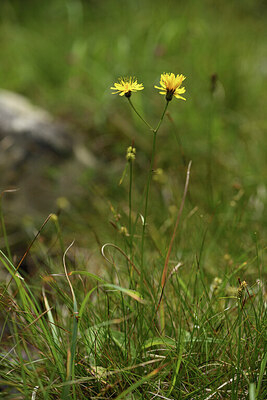 BUITEN BEELD Foto: 425989