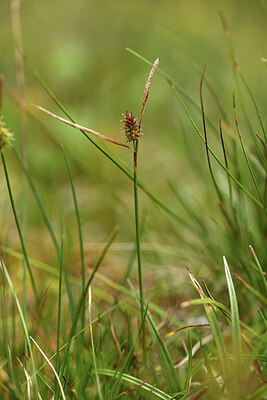 BUITEN BEELD Foto: 426000