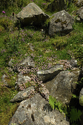 BUITEN BEELD Foto: 426018