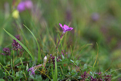 BUITEN BEELD Foto: 426074