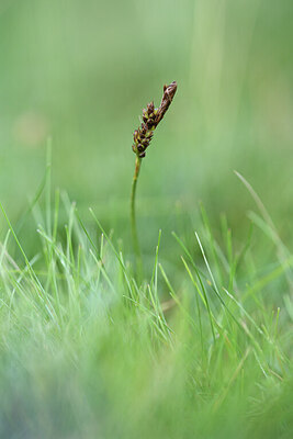 BUITEN BEELD Foto: 426075