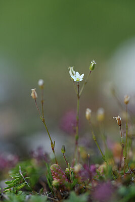 BUITEN BEELD Foto: 426086