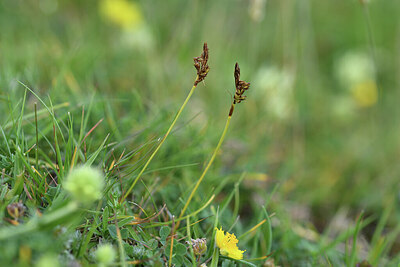 BUITEN BEELD Foto: 426100