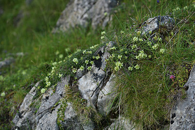 BUITEN BEELD Foto: 426113