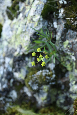 BUITEN BEELD Foto: 426119