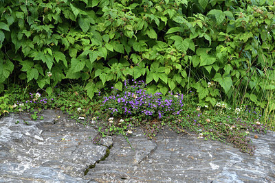 BUITEN BEELD Foto: 426132