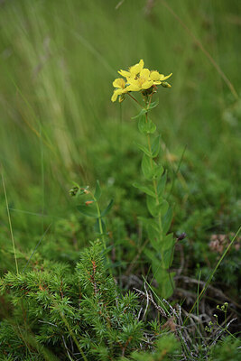 BUITEN BEELD Foto: 426136