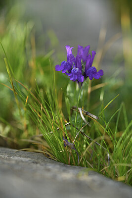 BUITEN BEELD Foto: 426158