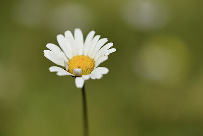 BUITEN BEELD Foto: 426168