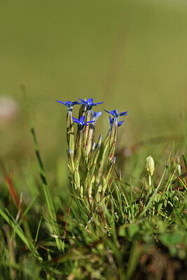 BUITEN BEELD Foto: 426171