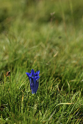 BUITEN BEELD Foto: 426183